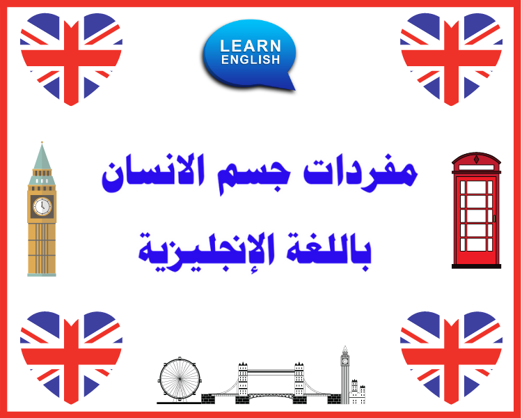 مفردات جسم الانسان باللغة الإنجليزية