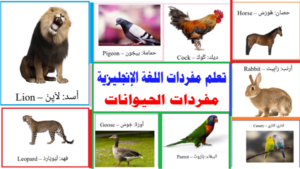 مفردات الحيوانات بالإنجليزية